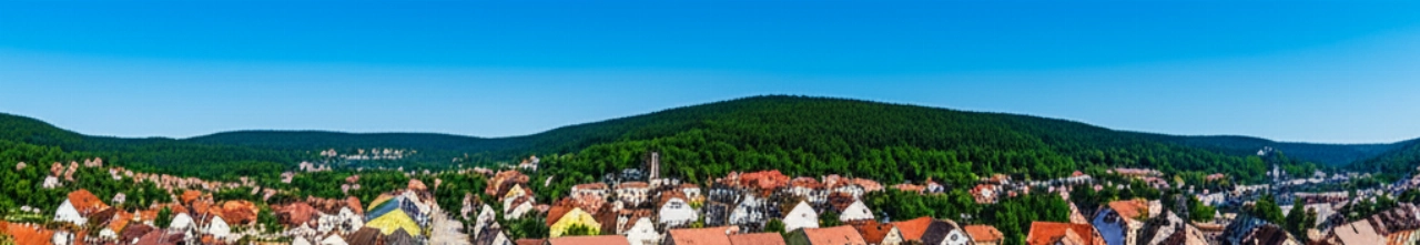Storia A. Lange & Söhne